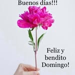 Caridad Orta - @caridad22976 - Instagram