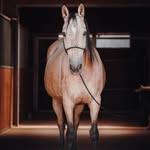 Carina Ott Geb Weintraut - @carina_ottgebweintraut - Instagram