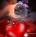 Carina Weber - Facebook