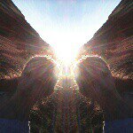 carinaaa - @carina__weber - Instagram
