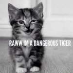 Carissa Bates - @kitkat_wuvs_you - Instagram