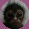 rissa - @carissaabates - TikTok
