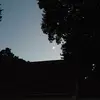 carissagraham788 - @carissagraham788 - TikTok