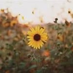 Carissa Rylee Holman - @carissa_r_h_2007 - Instagram