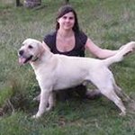 Carissa Howard - @howardsroyallabradors - Instagram