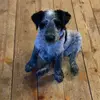 Carissa Jamison - @carissajamison - TikTok