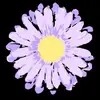 Carissa Jones - @carissa.jones11 - TikTok
