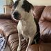 Carissa Jones - Facebook