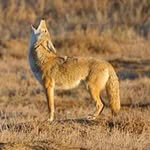 Carl Ackerman - @cackerman1967 - Instagram