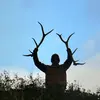 carlford207 - @carls_antlers - TikTok