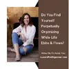 LuxuryProOrganizer - @carolappelbaum - TikTok