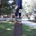 Carl Applegate - Facebook