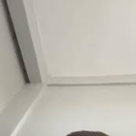 Carl Ariola - @caaaaarlzxc - Instagram