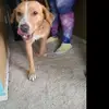 Carla Arterberry - @carla.arterberry - TikTok