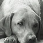 Carl Ayers - @carl.ayers.752 - Instagram