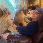 Carl Ayres - @carl.ayres.925 - Instagram