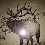 Carl Baldwin - @carlbaldwin502 - Instagram