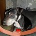 Carl Barry - Facebook