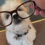 Carl Barry - @carl.barry.75 - Instagram