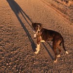 Carl Beal - @beal_carl - Instagram
