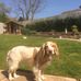 Carl Beal - Facebook