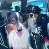 Carl Beauchamp - @carl.beauchamp6 - TikTok