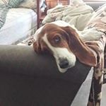 Carl Bowden - @bowden.carl - Instagram