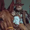 The Cat Commander - @carl.boykin - TikTok