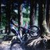 Carl Braddock - Facebook