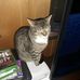 Carl Bramer - Facebook