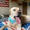Branson carlon - @branson.carlon - TikTok