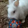 carlaviebranz219 - @carlaviebranz219 - TikTok