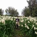 Carl Bray - @carlbray16 - Instagram