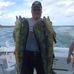 Carl Brehm - Facebook