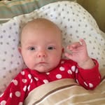 Carl Brink - @linus.pa.linjen - Instagram