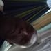 Carl Browne - Facebook