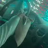 bruce carl - @brucecarl672 - TikTok