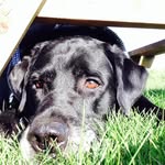Carl Bruce - @carlbruce9367 - Instagram