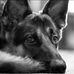 Carl Bruce - Facebook