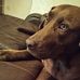Carl Bynum - Facebook