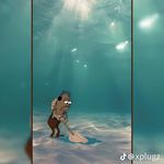 carl capps - @ttv_born_n_blood - Instagram