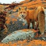 Carl Chance - @carl.chance.71 - Instagram