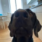 Christine Mueller - @carlcocamueller - Instagram