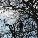Carl - @carl_coleman_ - Instagram