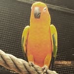 Carl Colwell - @carl.colwell.71 - Instagram