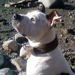 Carl Compton - @carl.compton.3532 - Instagram