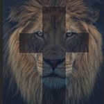 Carl Conner - @cconnerflip - Instagram