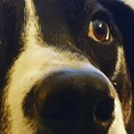 Carl Dalton - @just_mooching_around - Instagram