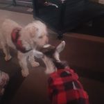 Carl Davidson - @carl.davidson.7315 - Instagram