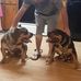 Carl Davidson - Facebook